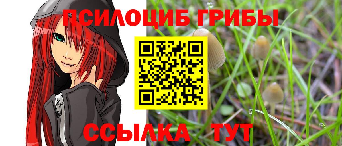 Красногорск  Псилоцибиновые грибы Cubensis  что такое наркотик  Вход с VPN  Псилоцибиновые грибы GOLDEN TEACHER 